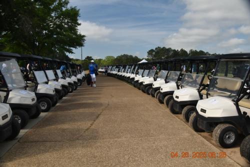 A LoadCarts 2910